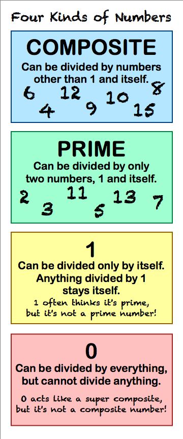 There are four kinds of numbers - composite numbers, prime numbers, 1 and 0. Types Of Numbers, Composite Numbers, Teaching Math Strategies, Everyday Math, Prime Numbers, Math Charts, Learning Mathematics, Math Tutorials, Math Vocabulary