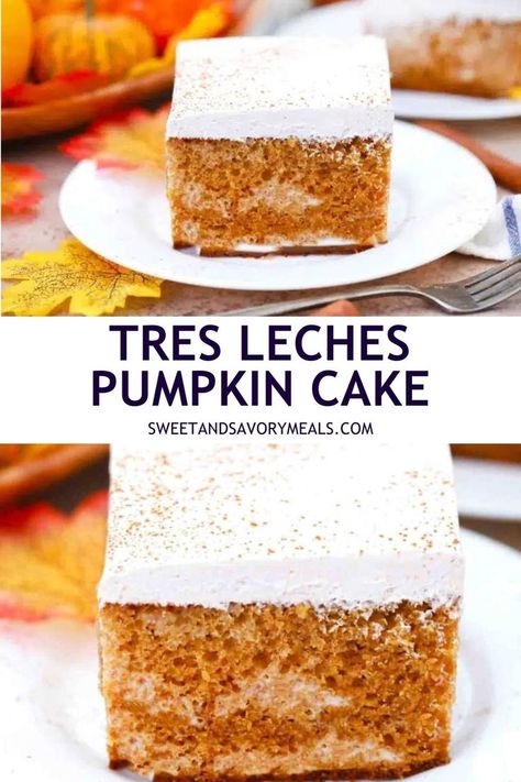 a plate with a slice of tres leches pumpkin cake and a nearer shot of tres leches pumpkin poke cake Pumpkin Tres Leches, Pumpkin Tres Leches Cake, Easy Tres Leches, Gluten Free Gingerbread Cake, Pumpkin Cake Recipe, Maple Whipped Cream, Tasty Appetizers, Mouthwatering Desserts, Thanksgiving Baking