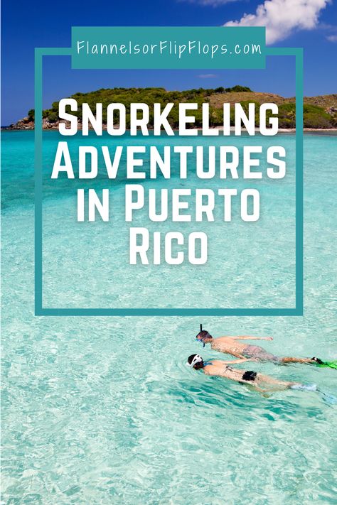 Dive into the crystal-clear waters of Puerto Rico for an unforgettable snorkeling adventure. Our guide details the best spots for snorkeling, from vibrant coral reefs to marine life sightings, ensuring a highlight of your tropical vacation. Snorkeling In Puerto Rico, Puerto Rico Snorkeling, Snorkel Blue, Puerto Rico Trip, Puerto Rico Vacation, Best Snorkeling, Snorkeling Gear, Charter Boat, San Juan Puerto Rico