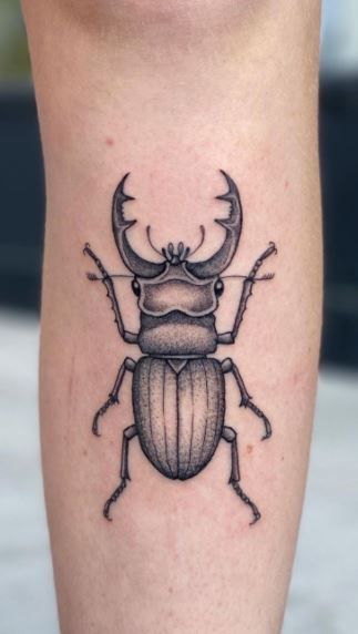 75 Magnificent Beetle Tattoos, Ideas, & Meaning - Tattoo Me Now Tattoo Old School, Humour, Beetle Tattoos, Beetle Tattoo, Tattoo Shading, Bug Tattoo, Insect Tattoo, Beetle Insect, Tattoo Now