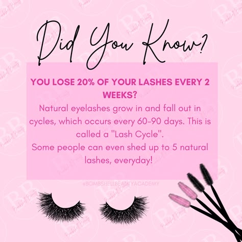 Lash Facts, Eye Lash Care, Brow Waxing, Lash Room Ideas, Esthetician Inspiration, Eyelash Studio, Makeup Courses, Lash Quotes, Beauty Courses