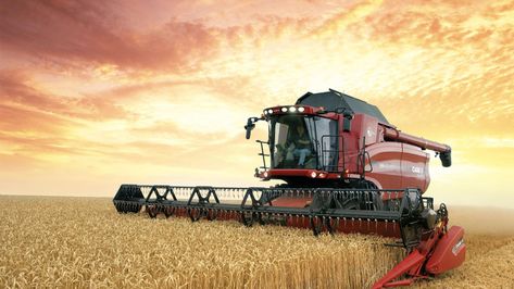 Farming Desktop Wallpapers. Farming Wallpaper, Case Tractors, Farming Business, Combine Harvester, Wheat Field, Farm Machinery, Farms Living, Case Ih, Down On The Farm