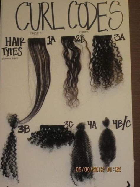 AFRO DIVAS: The Hair Texture Chart Hair Texture Chart, Hair Type Chart, 3a Hair, Cabello Afro Natural, Best Natural Hair Products, Curly Hair Types, Different Hair Types, Natural Hair Products, Black Hair Care