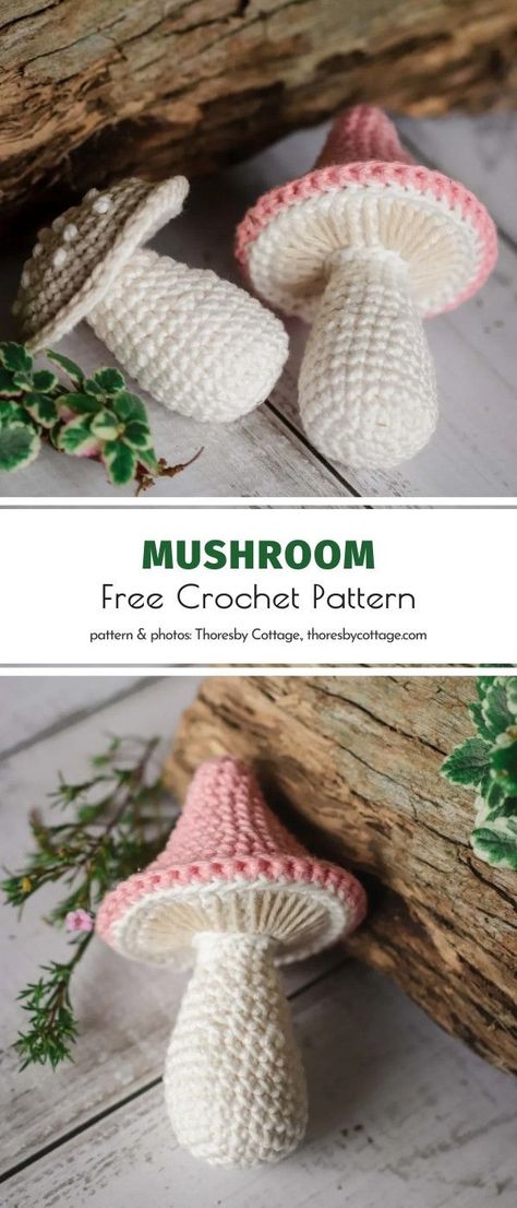 Mushroom Amigurumi, Awesome Crochet, Crochet Bobble, Confection Au Crochet, Crochet Mushroom, Crochet Plant, Amigurumi Ideas, Crochet Design Pattern, Crochet Food