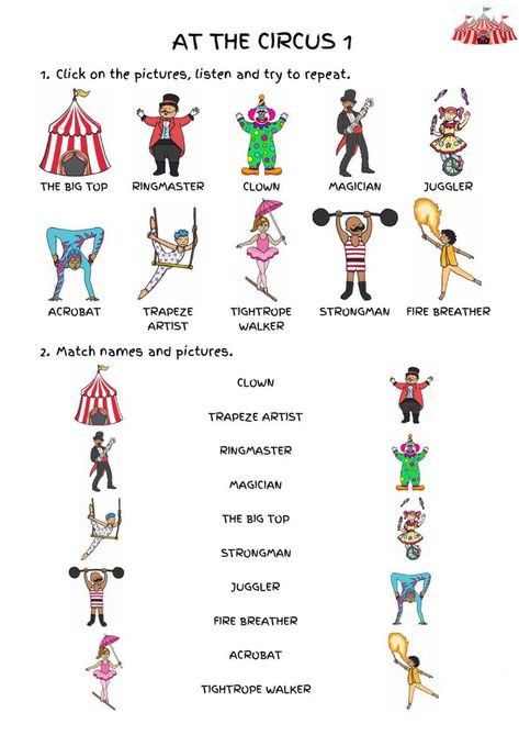 Circus Trapeze Artist, Circus Jobs List, Circus Acrobat Character Design, Type Of Clowns, Circus Acts Ideas, Clown Types Chart, Roles In A Circus, Jester Oc Ideas, Clown Name Ideas