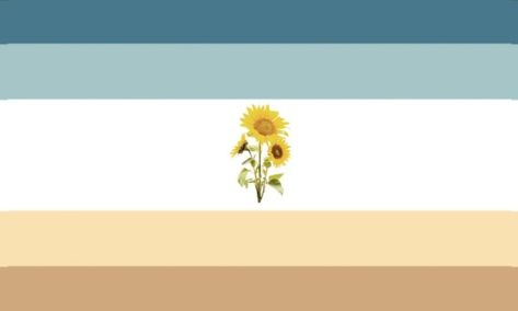 Angled Aroace Flag, Aroace Laptop Wallpaper, Aroace Wallpaper Pc, Aroace Pfp Aesthetic, Oriented Aroace Wallpaper, Aroaceflux Flag, Sapphic Flag Aesthetic, Aroace Flag Aesthetic, Aroace Lesbian Flag