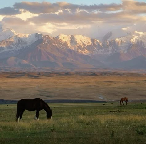 Horse Field Aesthetic, Montana Farm Aesthetic, Mountain Country Aesthetic, American South Aesthetic, Farm In The Mountains, Montana Life Aesthetic, Wyoming Summer Aesthetic, Great Plains Aesthetic, Bighorn Mountains Wyoming