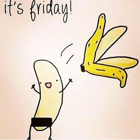 TGIF More Humour, Tgif Funny, Friday Meme, Unicornios Wallpaper, Premier Protein, Happy Friday Quotes, Friday Quotes Funny, Weekday Quotes, Protein Bar