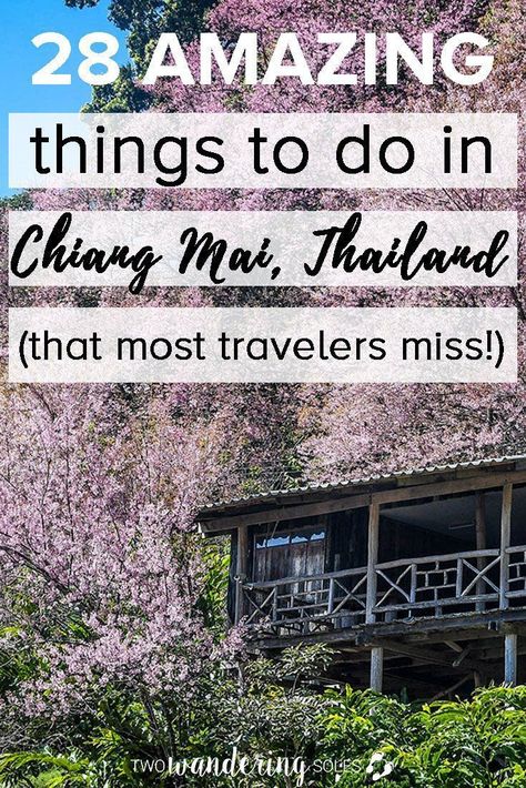 Chang Mai Thailand, Chiang Mai Travel, Thailand Travel Destinations, Thailand Honeymoon, Thailand Itinerary, Thailand Vacation, Thailand Adventure, Thailand Backpacking, Thailand Travel Tips