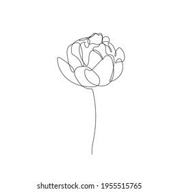 Single Line Peony Tattoo, One Line Peony Tattoo, Peony One Line Drawing, One Line Peony, Simple Peony Tattoo Outline, Line Art Peony, Fine Line Peony, Peony Line Tattoo, Tattoo Peonies