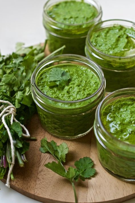 Cilantro Garlic Chutney Cilantro Recipes, Cilantro Chutney, Garlic Chutney, Garlic Scapes, Full Fat Yogurt, Tamarind Chutney, Fennel Salad, Fresh Asparagus, Pancakes Easy