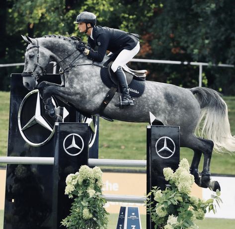 Equestrian Life Aesthetic, Horse Equestrian Jumping, Horse Jumping Aesthetic, Horse Riding Show Jumping, Horseback Riding Outfit, English Horse Show Aesthetic, Aesthetic Equestrian, Riding Outfit Equestrian, Equestrian Aesthetic Show Jumping