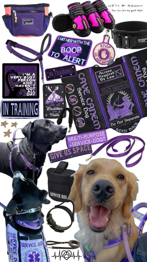 Service dog gear #servicedog#servicedogs#servicedoggear#dog#dogs#doggear#purple#purplegear Service Dog Gear, Gentle Leader, Puppy Checklist, Psychiatric Service Dog, Service Dog Patches, Dog Equipment, Service Dogs Gear, Christmas Service, Service Dog Vests