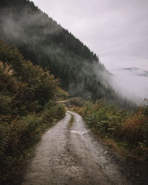 Travel Photography Inspiration, Dirt Road, Wild Nature, Radiohead, Nature Aesthetic, Pretty Places, Bushcraft, Land Scape, Beautiful World