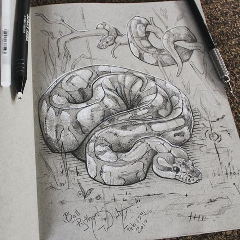 Kirk And Spock, Snake Drawing, Ball Pythons, Animal Drawings Sketches, Desenho Tattoo, Arte Sketchbook, Art Drawings Sketches Creative, Spock, Ink Sketch