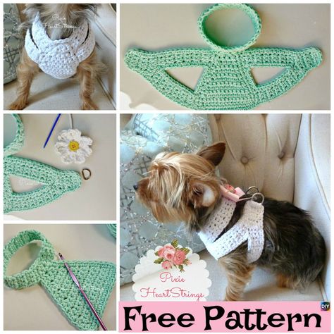 Diy Dog Harness, Dog Harness Pattern Free, Harness Pattern, Dog Harness Pattern, Dog Carrier Purse, Dog Sweater Crochet Pattern, Dog Purse, Crochet Dog Sweater, Tiny Dog