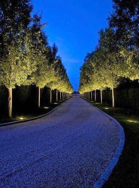 Driveway Lighting, Landscape Lighting Design, Driveway Entrance, Driveway Design, Driveway Landscaping, Long Driveways, Easy Landscaping, Traditional Landscape, Modern Landscaping