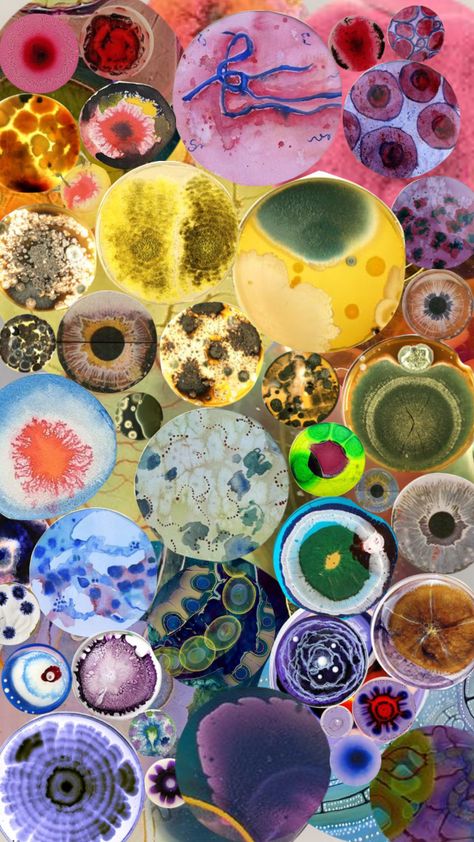 Scientific Photography, Microscopic Art, Petridish Art, Science Collage, Biology Inspired Art, Microbiology Aesthetic, Microorganisms Art, Petri Dish Art, Mold In Petri Dish