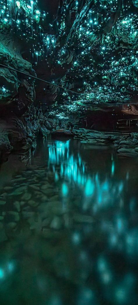 Waitomo Glowworm Caves, Nova Zelândia Glowing Crystal Cave, Bioluminescent Cave, Under Water Cave, Cave Room Ideas, Caves Aesthetic, Cave Interior Design, Cave Stalactites, Mushroom Cave, Gem Cave