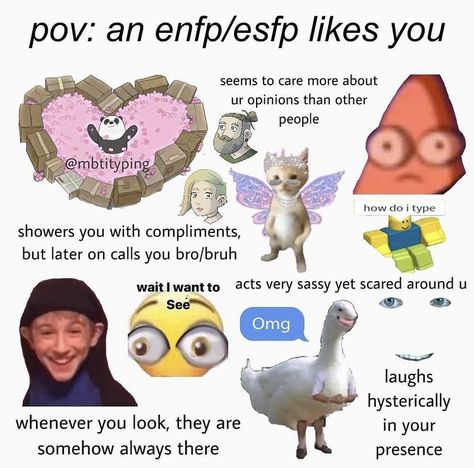 Enfp Estp Relationship, Esfp Personality Aesthetic, Enfp Personality Aesthetic, Enfp Boyfriend, Enfp And Entp, Enfp Art, Enfp And Enfp Relationship, 16 Personalities Enfp, Enfp Enfp Relationships