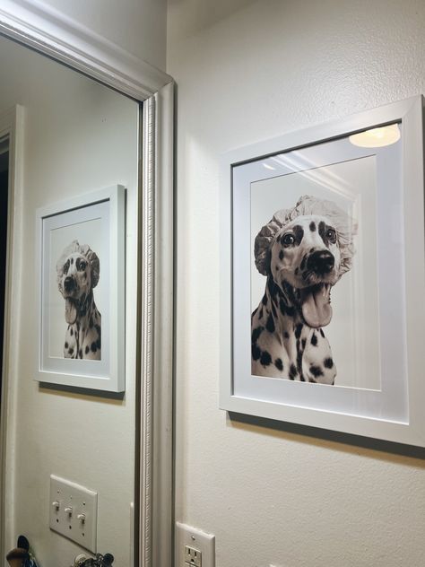 Bathroom Photo Ideas Wall Art, Bathroom Photo Decor, Dog Bathroom Wall Art, Dog Bathroom Photoshoot, Dog Bath Photoshoot, Bathroom Dog Pictures, Photos For Bathroom Wall, Dog Bathroom Pictures Diy, Pet Bathroom Photos