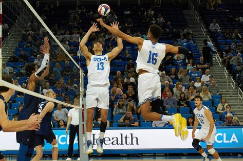 UCLA Men’s Volleyball Faces BYU in NCAA Semifinal Match Tonight - Bruins Nation Volleyball Men, Ucla Volleyball, Volleyball Match, Volleyball Photography, Mens Volleyball, Byu Cougars, Coaching Volleyball, Sports Aesthetic, Volleyball Players