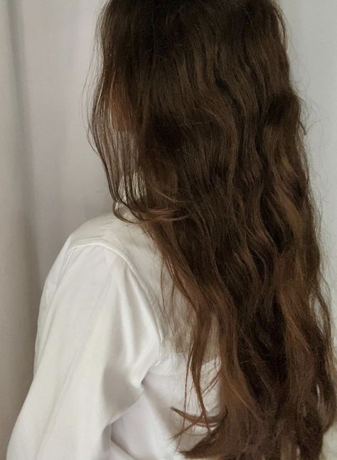 Light Brown Curly Hair Aesthetic, Frizzy Hair Aesthetic, Light Brown Hair Aesthetic, Frizzy Brown Hair, Textured Curly Hair, Brown Hair Inspo, Hair Aesthetic, Honey Hair, Long Lights