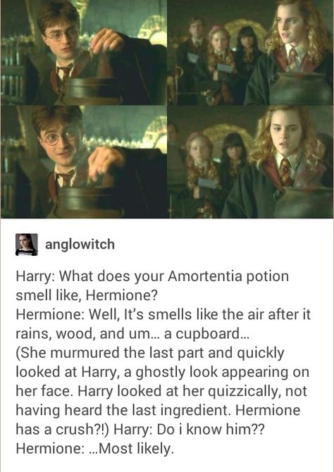 Hermione amortentia potion smell is harry Awakening Harry And Hermione, Hermione Granger Ships, Harmione Ship Headcanon, Harry X Hermione Ship, Harry And Hermione Ship, Harmione Ship, Harry X Hermione, Harmony Harry Potter, Hp Ships