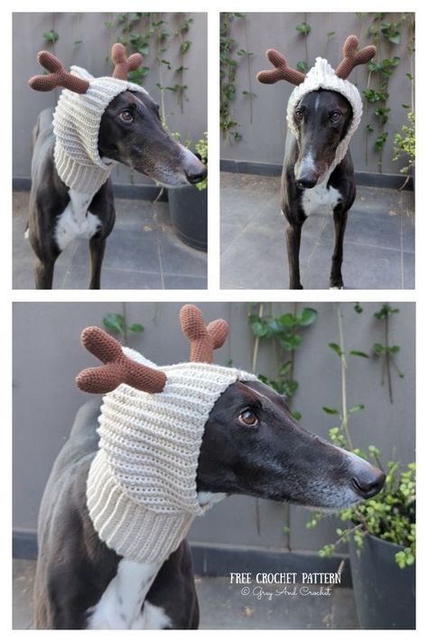 Reindeer Greyhound Snood Free Crochet Pattern Greyhound Snood Pattern Free, Dog Balaclava Crochet Pattern, Knit Dog Hat Pattern Free, Crochet Dog Snood Free Pattern, Dog Snood Crochet Pattern, Free Crochet Pattern Christmas, Crochet Dog Sweater Free Pattern, Doggie Clothes, Crochet Dog Hat