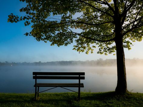 black park bench under trees photo – Free Seven lakes state park Image on Unsplash