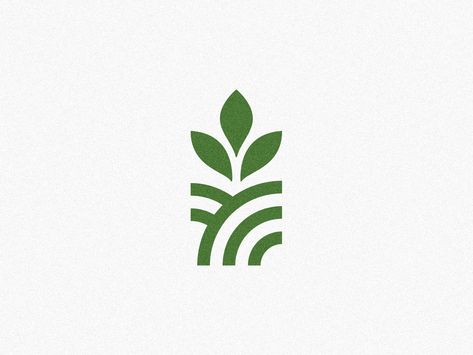 Sustainable Brand Logo, Seed Branding, Seed Logo Design, Plant Logo Design, Sprout Logo, Plants Logo, Logo Real Madrid, Growth Logo, Seed Logo