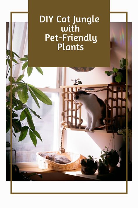 Discover the art of creating a DIY cat jungle with pet-friendly plants 🌸✨! Give your feline friend an enchanting environment to play, explore, and relax. You're just one click away from a happier, healthier cat. 😺💚 Watch my video now! 🎥 Cat Jungle Gym Wall, Cat Shelf Wall, Cat Jungle Gym, Diy Cat Shelves, Cat Jungle, Cat Safe Plants, Jungle Design, Indoor Oasis, Cat Gym