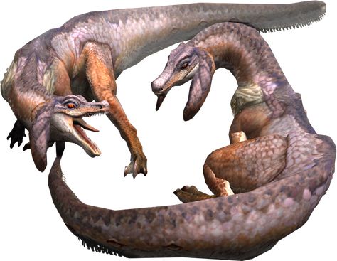 Jaggia Photo Gallery | Monster Hunter Wiki | Fandom Great Jaggi, Monster Hunter 4 Ultimate, Monster Hunter Wiki, Monster Hunter Games, Monster Hunter 3rd, Dragon Mythology, Monster Manual, Monster Hunter Art, Monster Hunter World