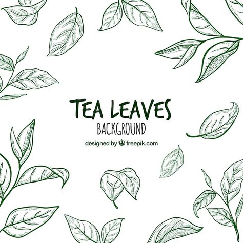 Tea Leaves Illustration, Leave Pattern, Leaf Projects, Tea Illustration, Tea Packaging Design, Leaves Background, Leaves Illustration, Leaf Illustration, Plant Vector