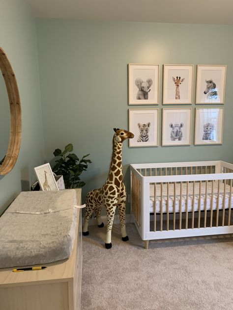 Safari Nursery Green, Green Jungle Nursery, Unisex Green Nursery, Best Green For Nursery, Green Theme Nursery, Nursery Ideas Light Green, Safe Green Nursery Ideas, Sage Safari Nursery, Safari Nursery Sage Green