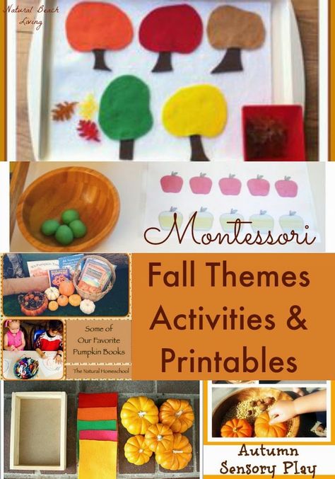 Montessori Toddler and Preschool Fall Themes Fall Curriculum For Preschool, September Montessori Lessons, Harvest Montessori Activities, Montessori November Ideas, November Homeschool, Ish Activities, November Preschool Themes, October Preschool Themes, Preschool November