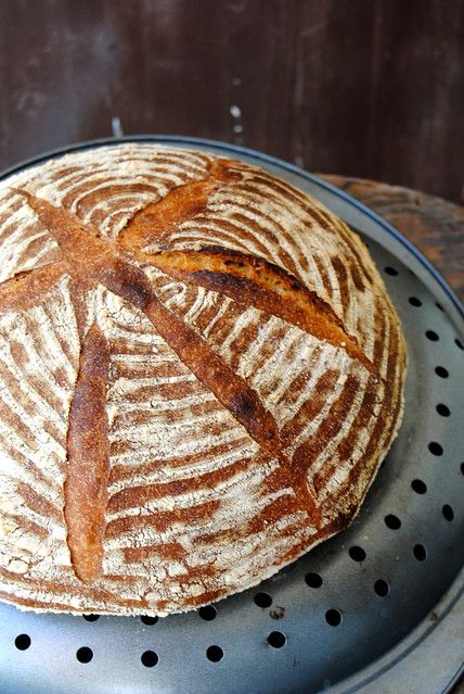 Kamut Sourdough, Kamut Recipes, Bread Starters, Whole Grain Sourdough, Kamut Flour, Fresh Milled Flour, Sourdough Bread Starter, Dough Pizza, Let Food Be Thy Medicine