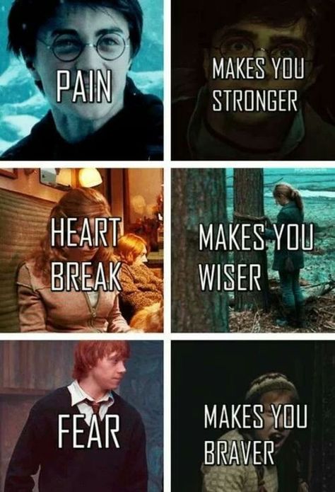 Harry Potter Lessons, Citate Harry Potter, Funny Harry Potter Jokes, Potter Quotes, Harry Potter Wizard, Buku Harry Potter, Harry Potter Feels, Harry Potter Puns, Harry Potter Images