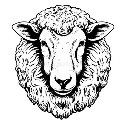 Lamb Face, View Sketch, Farm Sheep, Sheep Tattoo, Farm Vector, Sheep Face, Sheep Vector, Sheep Art, Sheep Farm