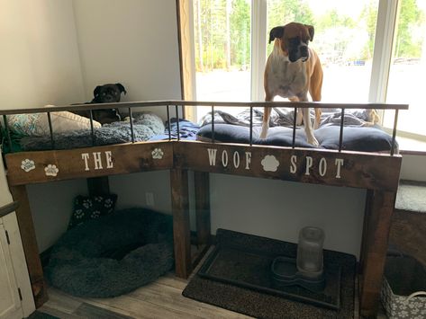 Large Dog Bunk Beds, Tall Dog Bed For Window, Bunk Beds For Dogs, Dog Hangout Space, Diy Dog Bunk Beds For Large Dogs, Bedroom With Dog Area, Multi Dog Household, Dog Friendly Bedroom Ideas, Window Bed For Dog