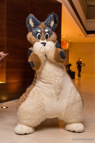 Plush Fursuit, Shark Fursuit, Fur Suits Cute, Cheap Fursuit, Plush Suit, Plush Suit Fursuit, Fursuit Partial, Kigurumi Fursuit, Fur Suit