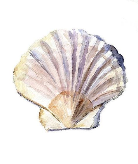 Shell Drawing, Art Plage, Art Coquillage, Marmont Hill, Seashell Art, Sea Art, Watercolor Inspiration, Shell Art, Beach Art