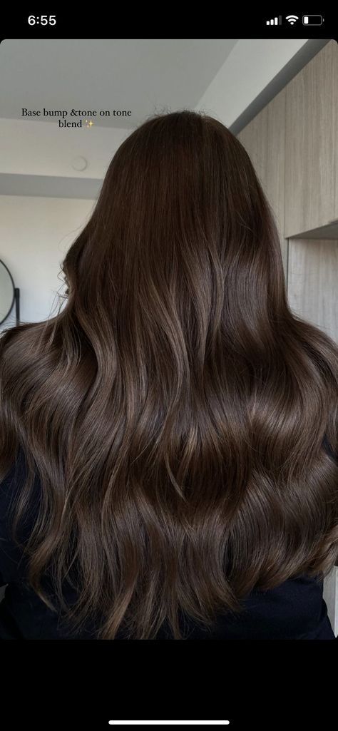 Flat Brunette Hair, Natural Dark Hair Color, Full Color Brown Hair, Mid Dark Brown Hair, Dark Brown Neutral Hair, Single Color Brown Hair, All Over Chocolate Brown Hair, Healthy Dark Brown Hair, Dark Brown Hair Neutral