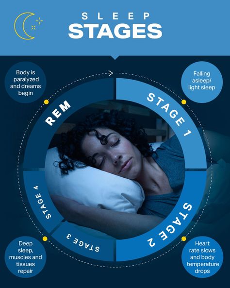 Understanding Sleep Cycles and How to Improve Sleep | Wellness | MyFitnessPal Can Not Sleep, How To Stop Snoring, Stages Of Sleep, Sleep Remedies, Sleep Health, Body Tissues, Sleep Cycle, When You Sleep, Improve Sleep Quality