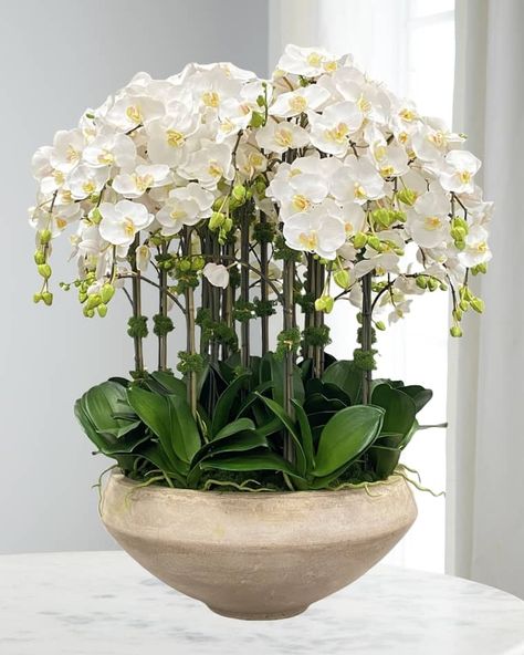 HFY1A Winward Home Orchid Arrangement in Tapered Bowl Flower Diy Paper, Wall Art Entryway, Paper Flower Diy, Orchid Flower Arrangements, Tissue Paper Flowers Diy, White Living Room Decor, Craft Home Decor, Large Flower Arrangements, Orchid Bouquet