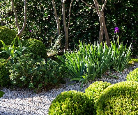 Small Garden Design By Peter Fudge Gardens Peter Fudge, Suburban Garden, Gravel Path, Gravel Garden, Blank Slate, Coastal Gardens, Home Garden Design, Forest Garden, Small Garden Design