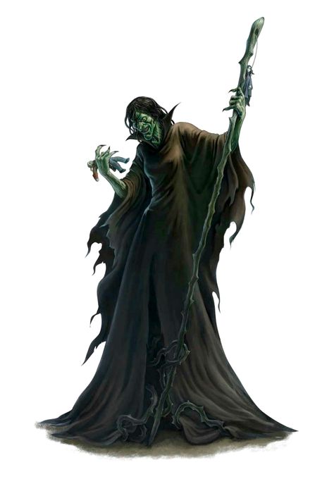 Green Hag, Magic Artifacts, Fantasy Witch, Evil Demons, Savage Worlds, D D Monsters, Rpg Characters, Dnd Monsters, Dungeons And Dragons Characters