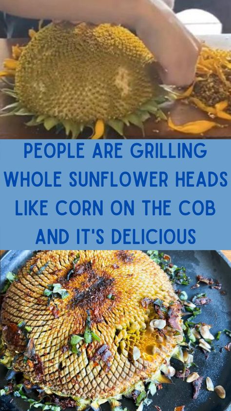 Sunflower Heads, New Food Trends, Sunflower Head, Campfire Cooking, Corn On The Cob, Old Fashioned Recipes, Garden Recipes, Food Trends, Diy Life Hacks