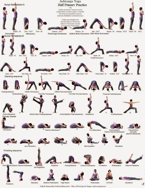 Ashtanga Yoga Poses, Ashtanga Yoga Primary Series, Hata Yoga, Yoga Flow Sequence, Yoga Series, Yoga Ashtanga, Ashtanga Vinyasa Yoga, Beginner Yoga, Yoga Iyengar