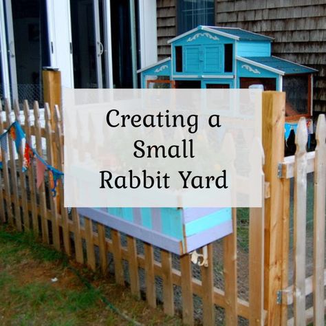 Photo Tour of our Rabbit Yard Walk In Rabbit Run, Outdoor Rabbit Toys, Pallet Rabbit Enclosure, Outdoor Bunny Play Area, Large Outdoor Rabbit Enclosure Diy, Backyard Bunny Habitat, Rabbit Outdoor Habitat Diy, Rabbitry Setup Ideas Shed, Rabbit Outdoor Play Area